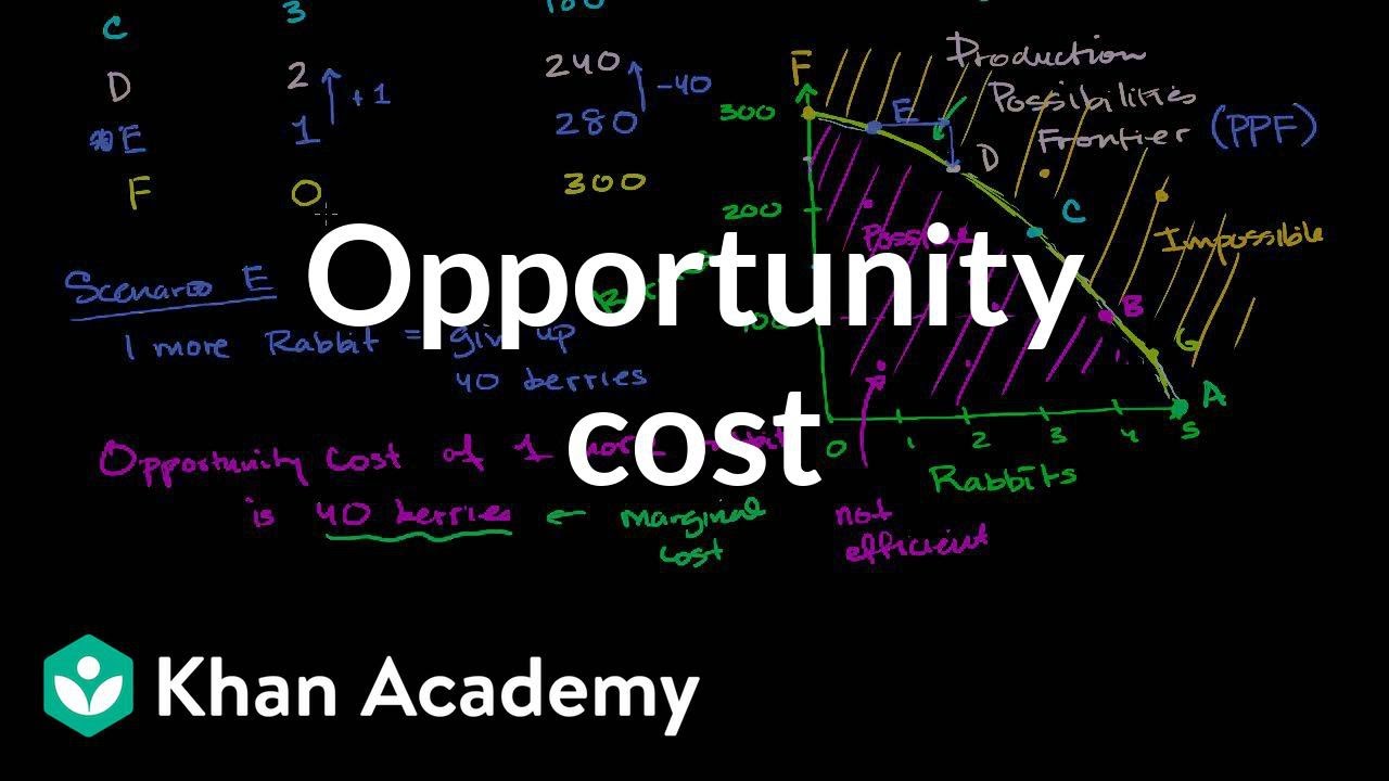 ⁣Opportunity Cost