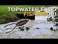 Top 5 Frog Fishing Tips You NEED To Catch More Bass