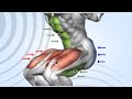 Squats Exercise for Beginners | Tips and Techniques