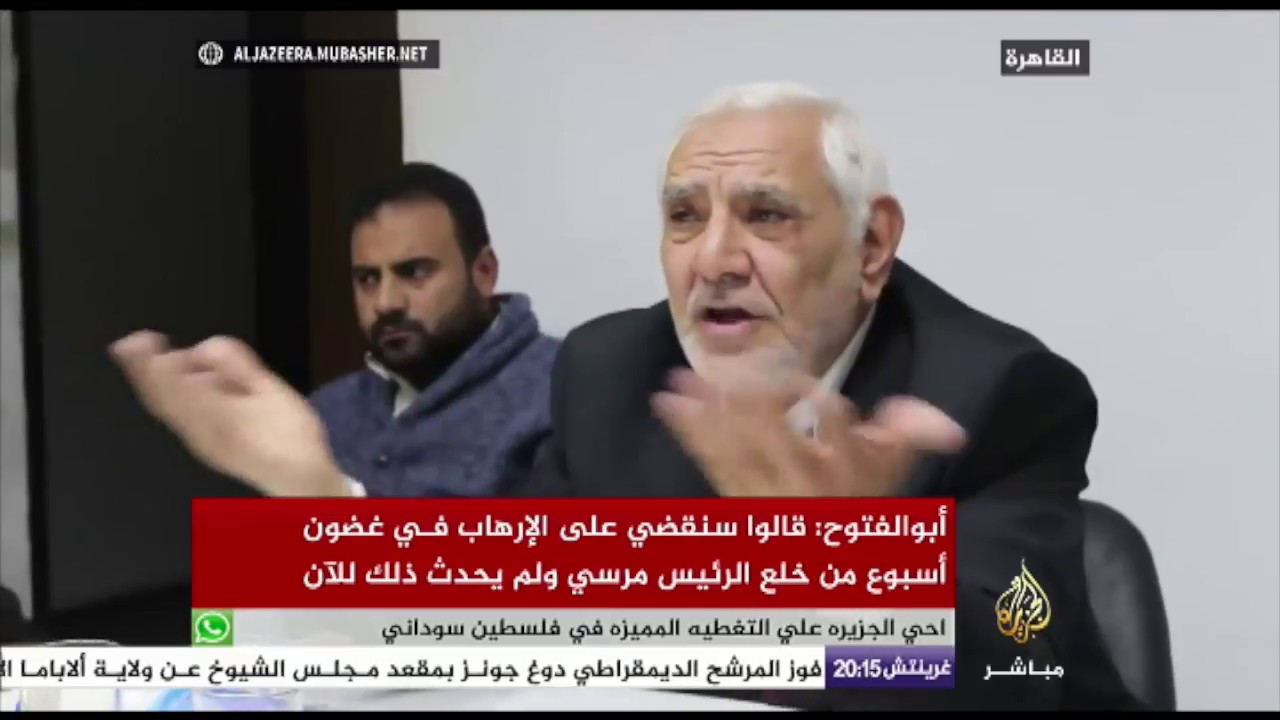 أبو الفتوح: النظام المصري قمعي جاء بقوة السلاح ولم يأت بصناديق الاقتراع