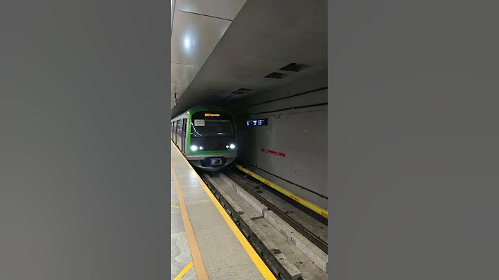 Metro train|#train #shorts  #metrotrain #travel #reels #youtubeshorts #youtube