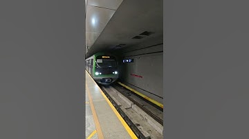 Metro train|#train #shorts  #metrotrain #travel #reels #youtubeshorts #youtube