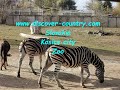 Slovakia; Kosice сity; Zoo