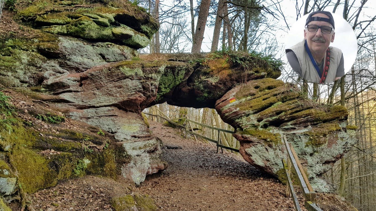 Felsenwald bei Pirmasens