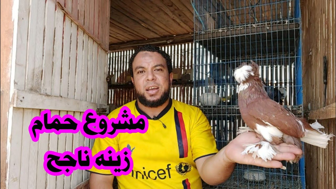 إنشاء مشروع حمام زينه ناجح ويعود عليك بالارباح الجزء الثاني