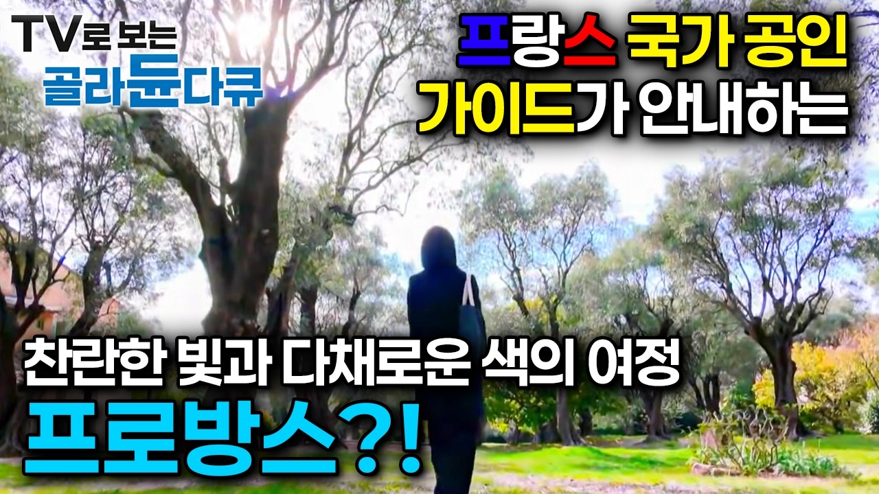 프랑스 국가 공인 가이드가 안내하는 찬란한 빛과 다채로운 색의 여정, 프로방스?!ㅣ프로방스 아트 로드ㅣ세계테마기행ㅣTV로 보는 #골라듄다큐