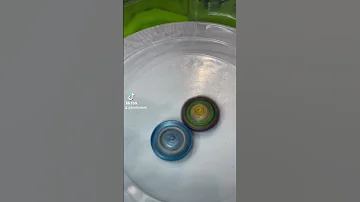 كيف تفوز أي بلبل بثواني 