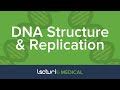 DNA Replication Fundamentals and Mechanisms in Cellular Biology