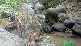 Download Lagu DJ TIKTOK TERBARU 2025 || DJ CINTA DARI SEBERANG 🎵 DJ SUNGGUH CINTAKU LUAR BIASA 🎵 FULL ALBUM❗❗ MP3