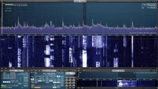 Short comparison of antennas: hexbeam and end fed. Hex Beam Vs End Fed Wire