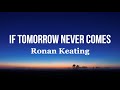 If Tomorrow Never Comes (Terjemahan)