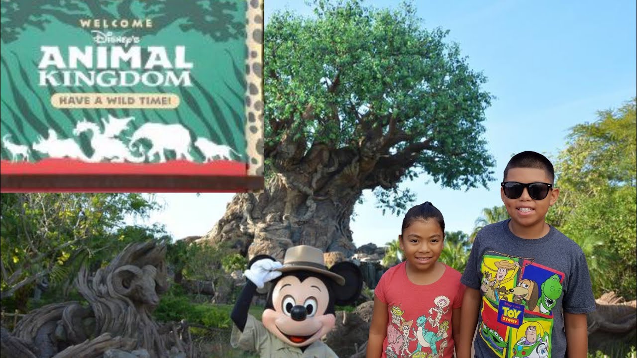 Disney Animal KingDom, fun for kids. YouTube