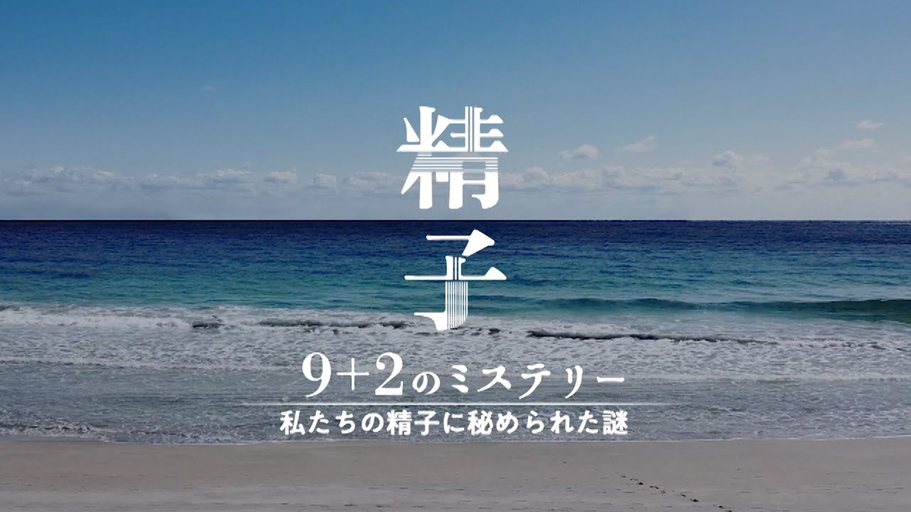 【第66回科学技術映像祭受賞作品】精子9+2のミステリー 私たちの精子に秘められた謎｜ガリレオX第334回