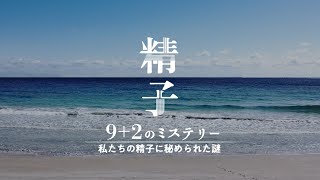 【第66回科学技術映像祭受賞作品】精子9+2のミステリー 私たちの精子に秘められた謎｜ガリレオX第334回
