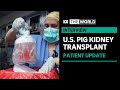 Pig kidney transplant patient dies two months after surgery in US | The World