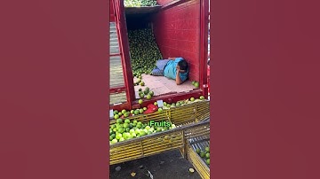 Easiest Jobs Ever 😳