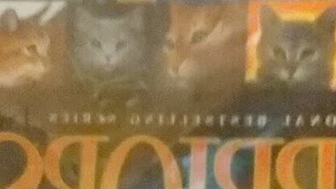 Reading Warriors Ultimate Guide