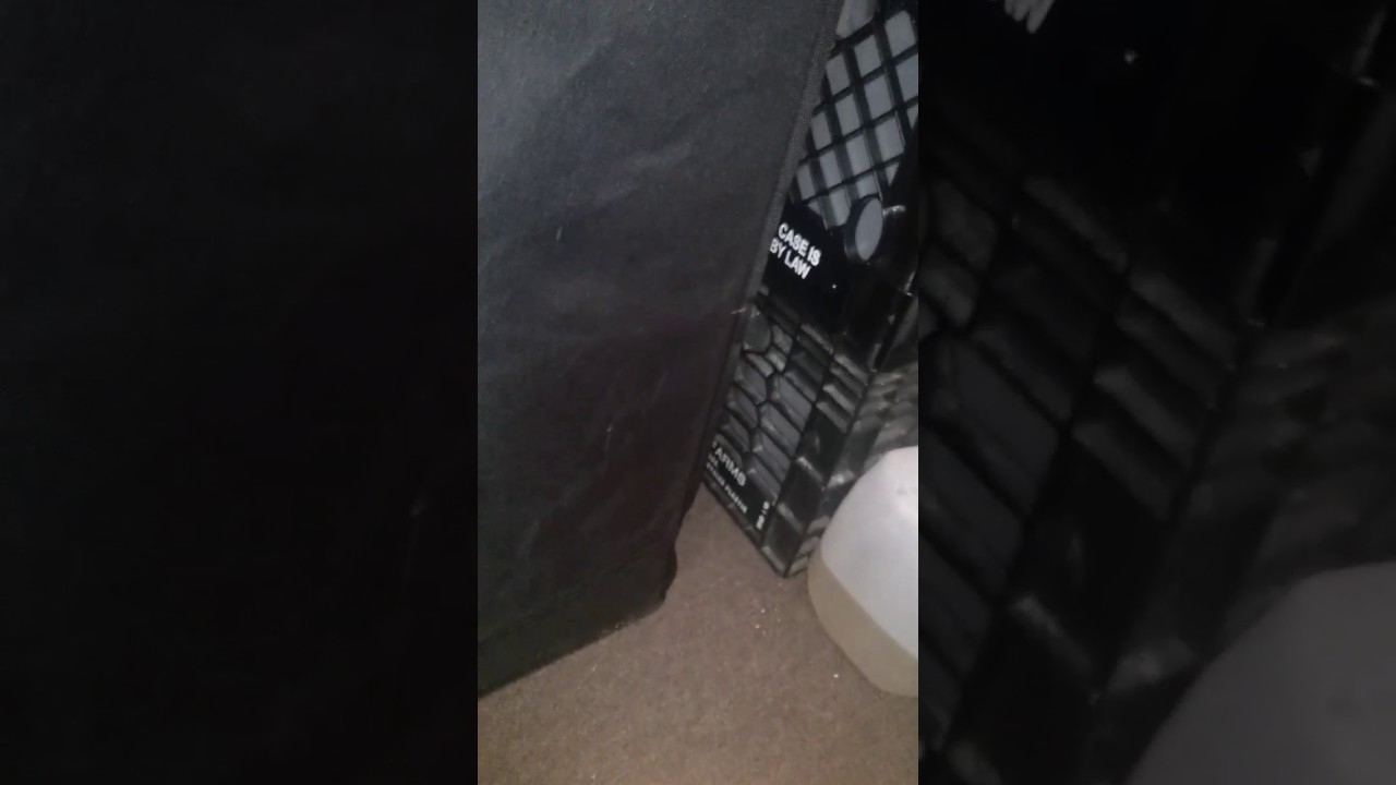 FIRST AUTO-FLOWER GROW EVER!!!!