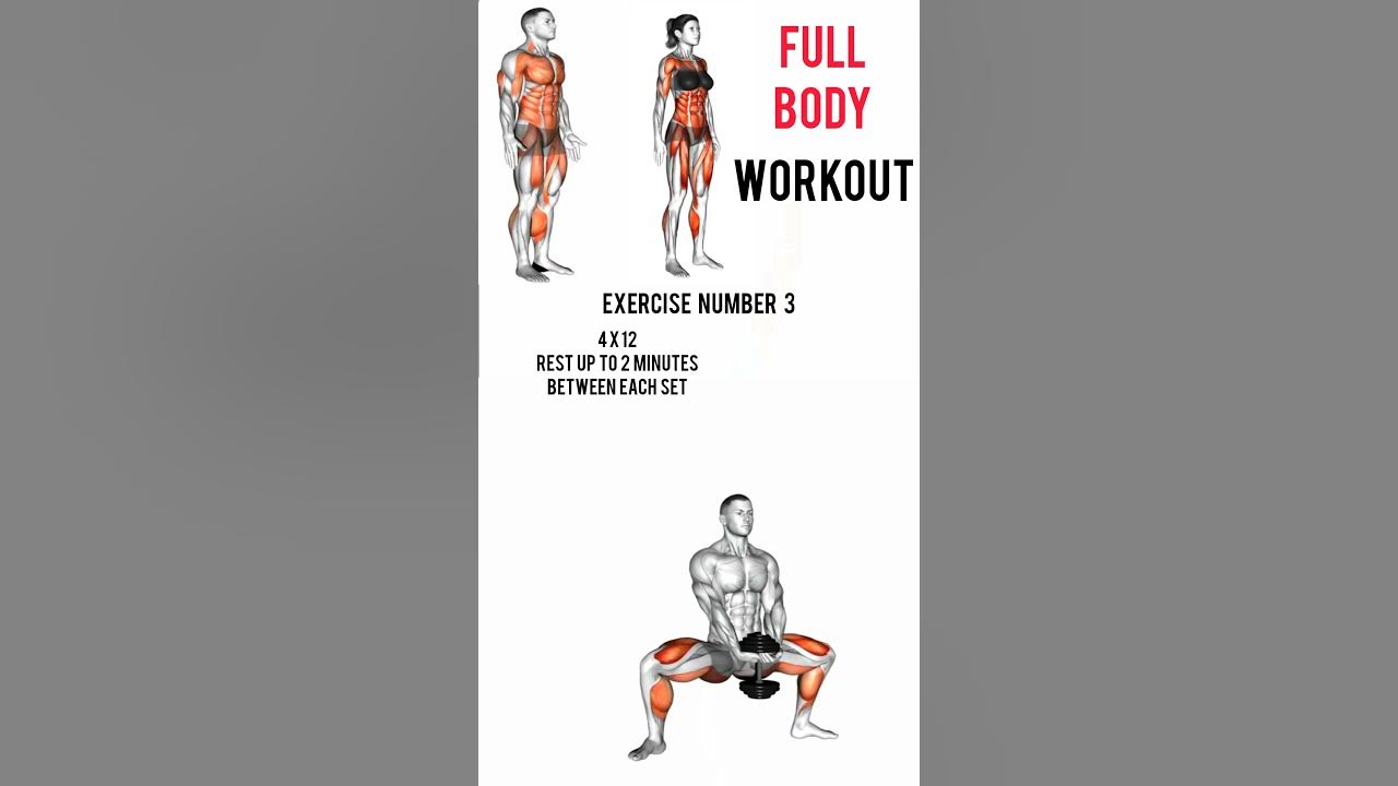 full-body-workout-to-build-muscle-home-or-gym-shorts-viral