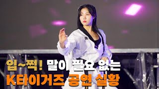 말로만 듣던 바로 그 'K타이거즈 (K Tigers Taekwondo)' 공연