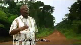 Congo white king red rubber black death essay 04 picture