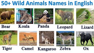 Wild animals for kids/Wild animals name in English/kids vocabulary #wildanimals #kidsvocabulary