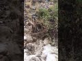 امطار خير وادي ميسان بالحارث