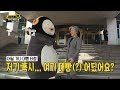 펭수 외교부 장관 만난 썰. 6개 지역 외교관 총출동!(feat. 한·아세안 특별정상회의)