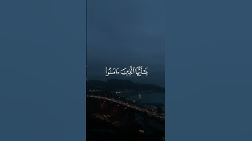 إن الله وملائكته يصلون على النبي/ القارئ فارس عباد #قرآن