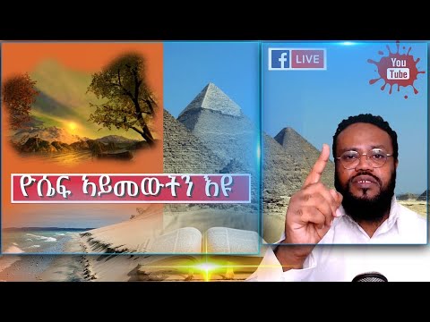 ቪዲዮ: አሌክሳንደር ኦቬችኪን ምርጥ የሩሲያ ኤን.ኤል.ኤል አነጣጥሮ ተኳሽ ነው