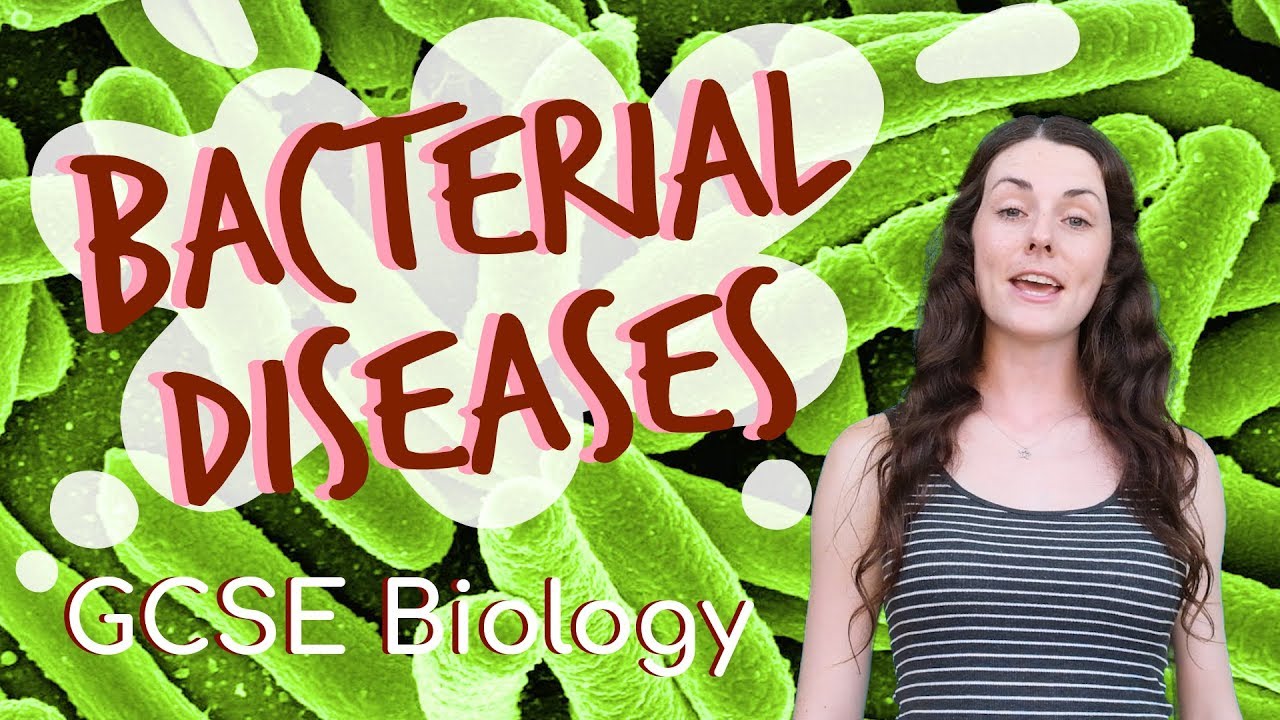 Bacterial diseases - GCSE Biology (Revision for 2020) - YouTube