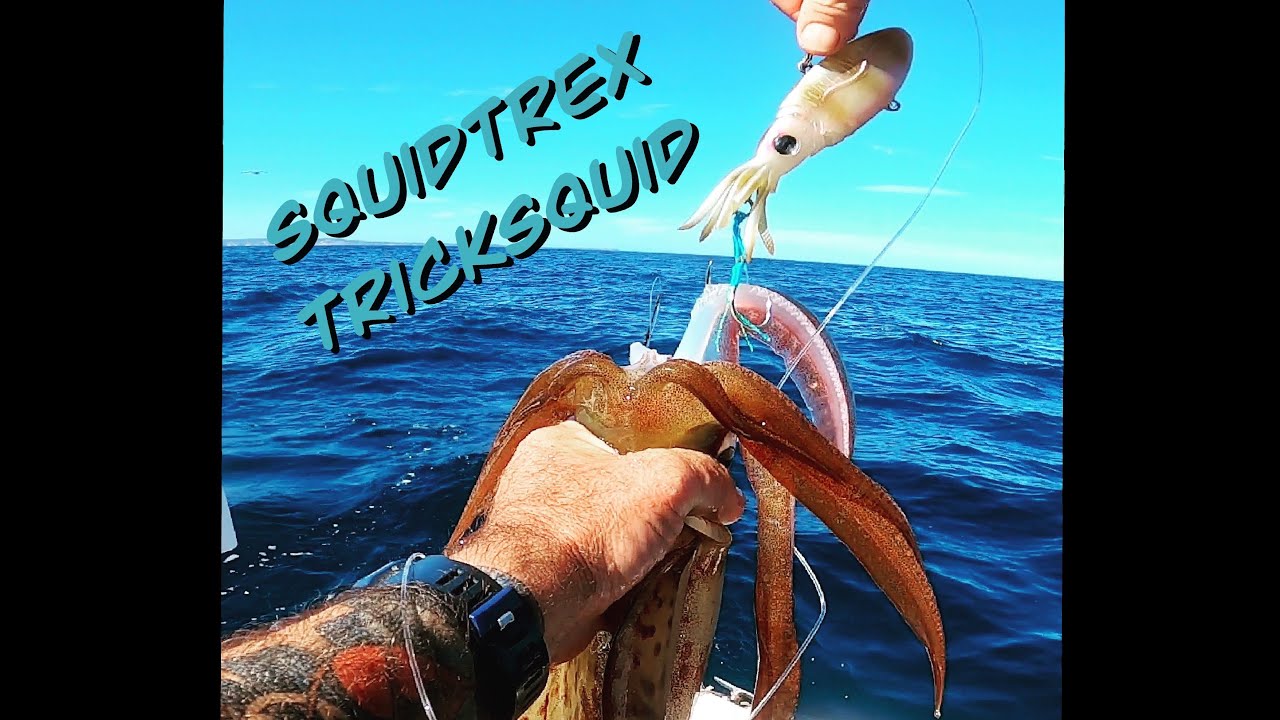 New Squidtrex tricks squid 
