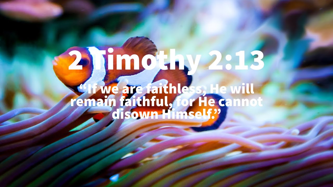 Men Bible Study - 2 Timothy 