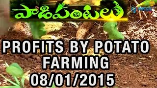 Young farmer success story in Potato farming at Zaheerabad in Medak - Paadi Pantalu -08/01/2015