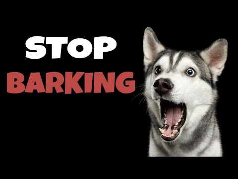 Video: Er der en højpiket fløjte, der får hundene til at holde barking konstant?