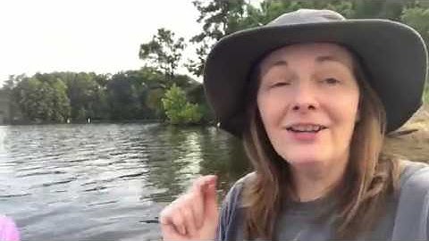 CIST 1510   Web Design I