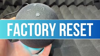 How to Factory Reset Amazon Echo Dot (5th Gen) Smart Speaker with Alexa
