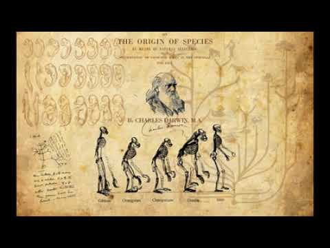Video Học thuyết Darwin, Phật giáo và Thiên chúa giáo -... - youtube