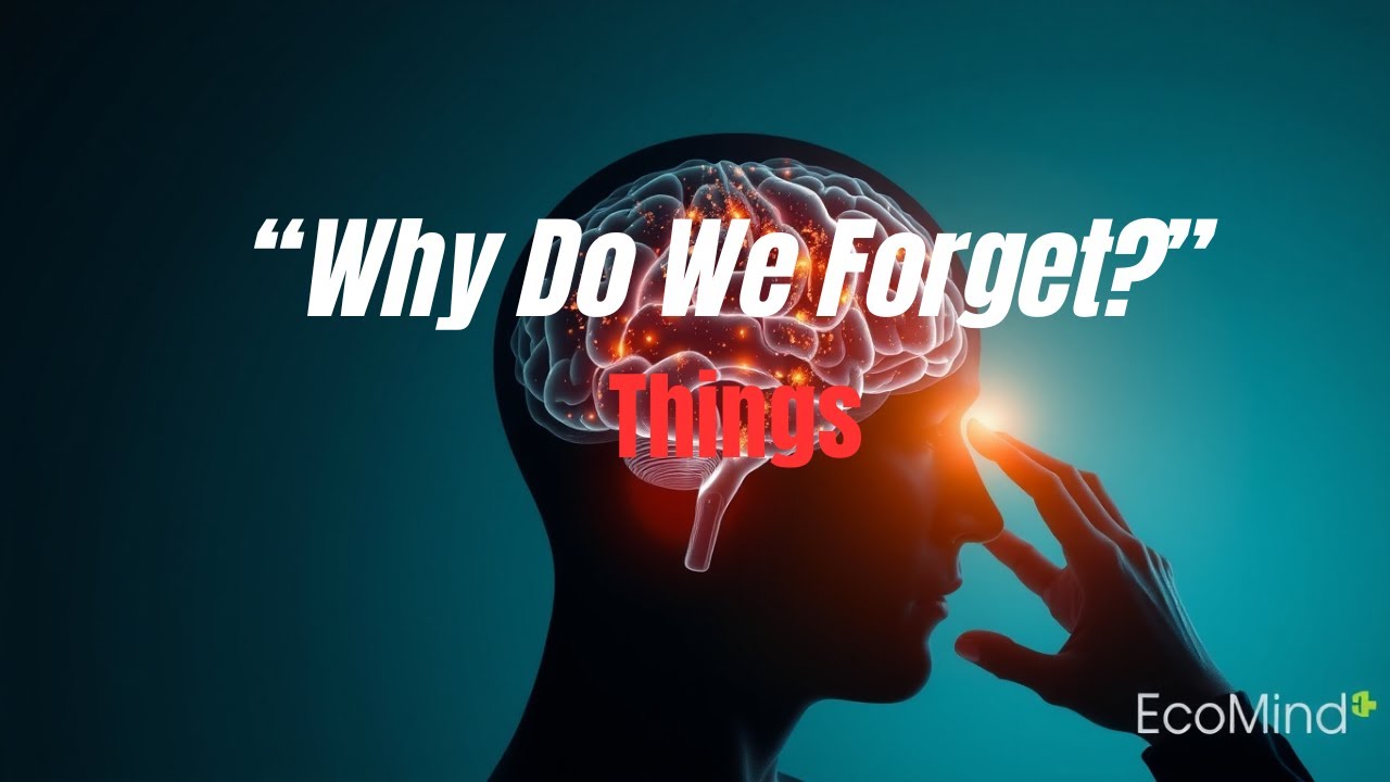 Why Do We Forget Things BY EcoMInd - YouTube