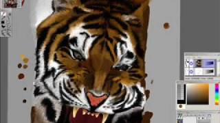 Tiger - Digital Drawing in OpenCanvas