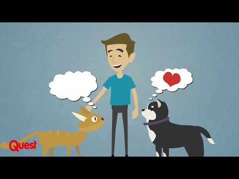 Video: Zijn Honden Kleurenblind? Voorbeelden Van Hondenkleurenvisie