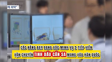 Các hãng bay đang x.á.c m.i.n.h vụ 2 nữ tiếp viên vận chuyển tinh dầu c.ầ.n s.a mang vào Hàn Quốc