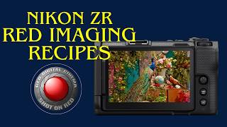 RED Look With H 265 and NRAW SDR Nikon ZR Creator Recipes