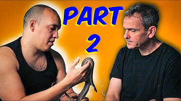 The Truth About Super Dwarf Reticulated Pythons   Part 2