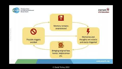 Understanding Trauma   Ask the expert