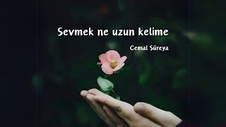 Cemal Süreya Sevmek Ne Uzun Kelime Şiir