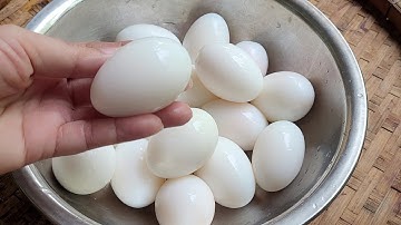 Trứng Gà Trứng Vịt tự tróc vỏ / cách luộc trứng vịt dể bốc vỏ đến không ngờ