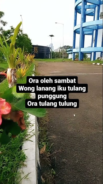 Kerja sing semangat mas? Mergo wong lanang kuwi tulang punggung, ora tulang tulung? 😅😅