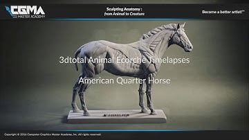 CGMA - 3dtotal horse ecorche timelapse trailer