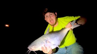 Catfish were biting…. And not just the bait! by PRINCE FAMILY OUTDOOR ADVENTURES 85 views 2 weeks ago 2 minutes, 42 seconds